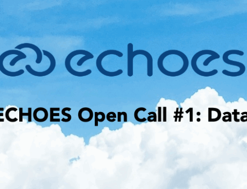 ECHOES Cascading Grants Call 1 submission platform open