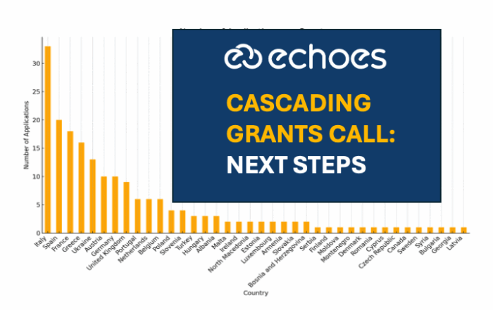 ECHOES Cascading Grants: Next Steps_ on graph
